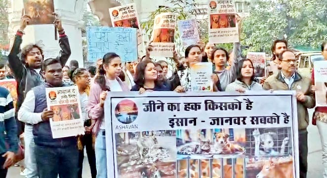 घण्टाघर चौक पर पशु-प्रेमियों का शांतिपूर्ण प्रदर्शन, स्ट्रे एनिमल्स की सुरक्षा को लेकर उठी मांग 2 1763471790 Untitled 7 copy