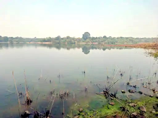 1763813381 Untitled 8 copy