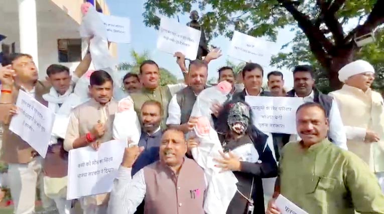 1764591837 Untitled 5 copy