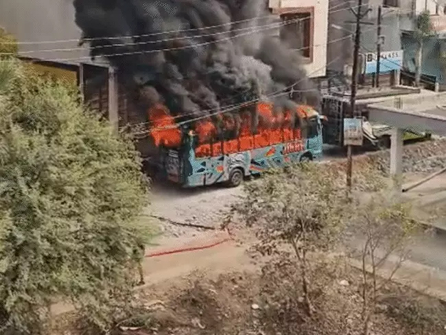 1769169747 Untitled 5 copy