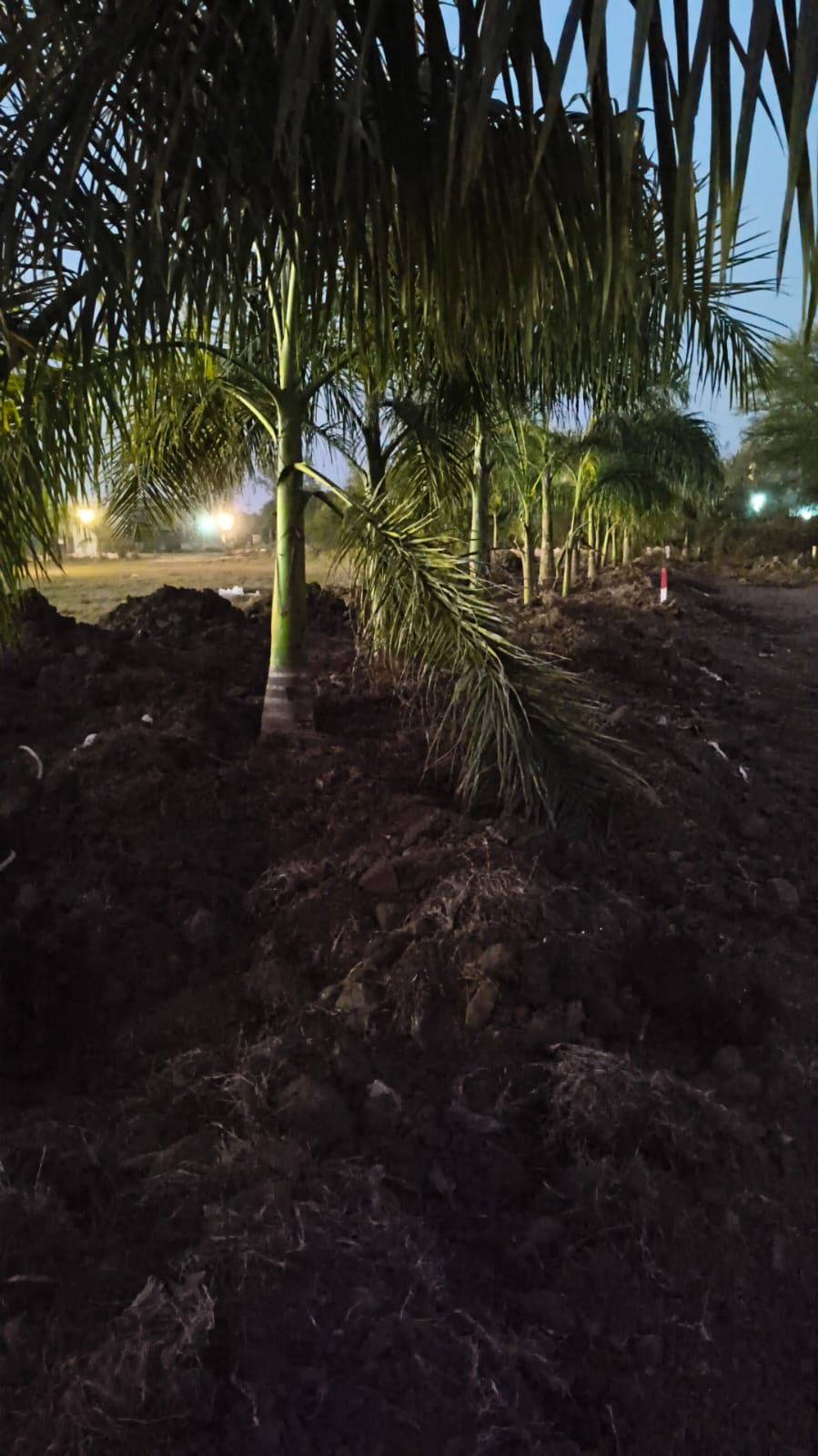 1770809071 WhatsApp Image 2026 02 11 at 4.34.36 PM