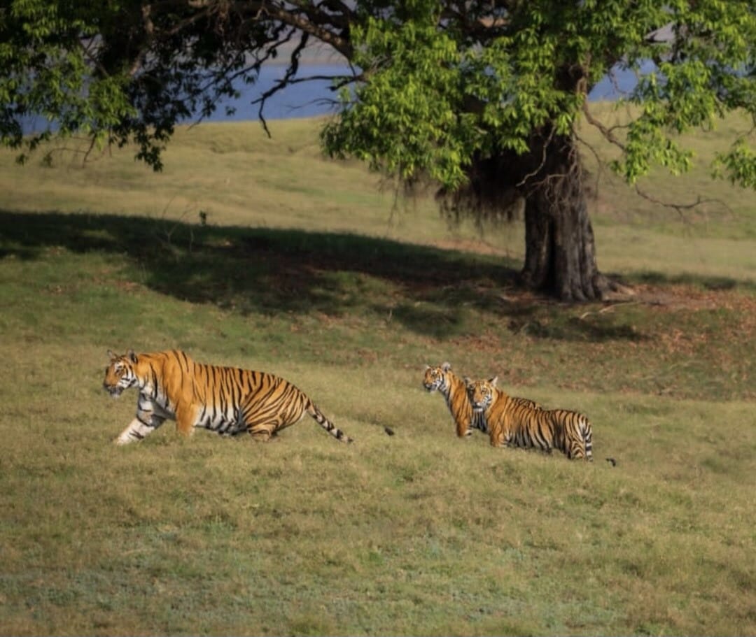 1777191554 WhatsApp Image 2026 04 26 at 12.22.23