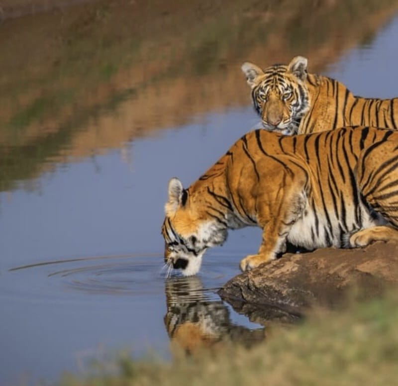 1777191568 WhatsApp Image 2026 04 26 at 12.22.51