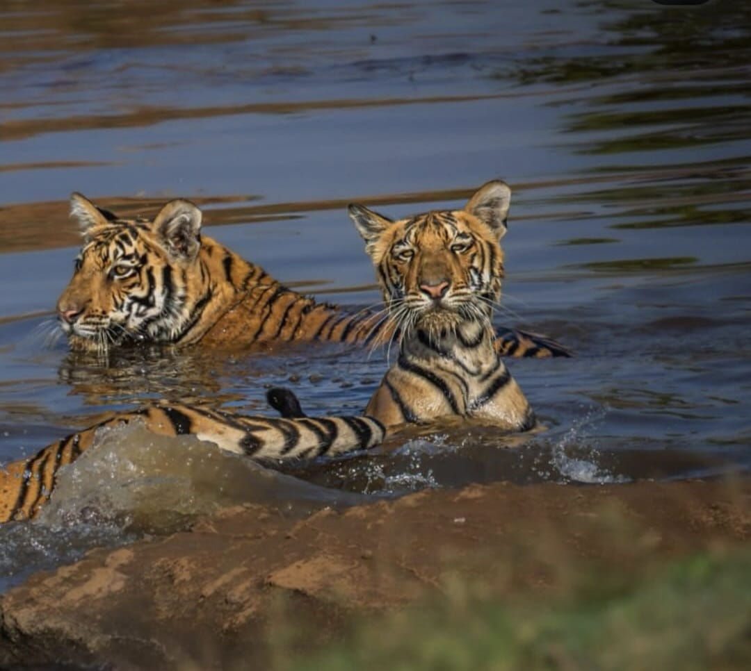 1777191586 WhatsApp Image 2026 04 26 at 12.23.14